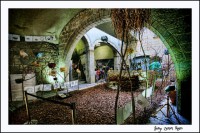 /album/fotogaleria-girona/mg-8849-640x480-jpg/